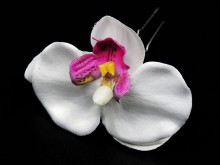 Horquilla orquídea con strass x unidad
